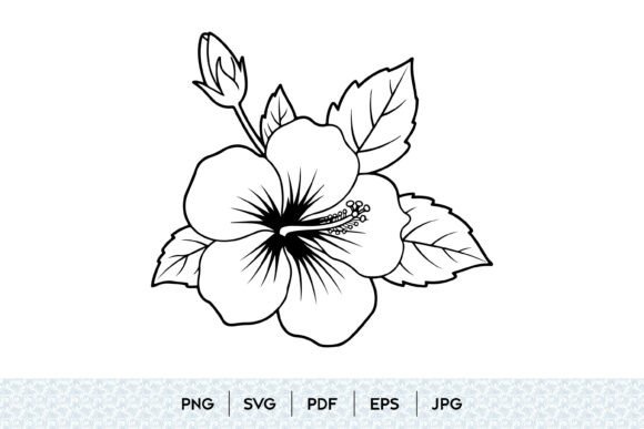 Hibiscus Flower SV Graphics & Illustrations